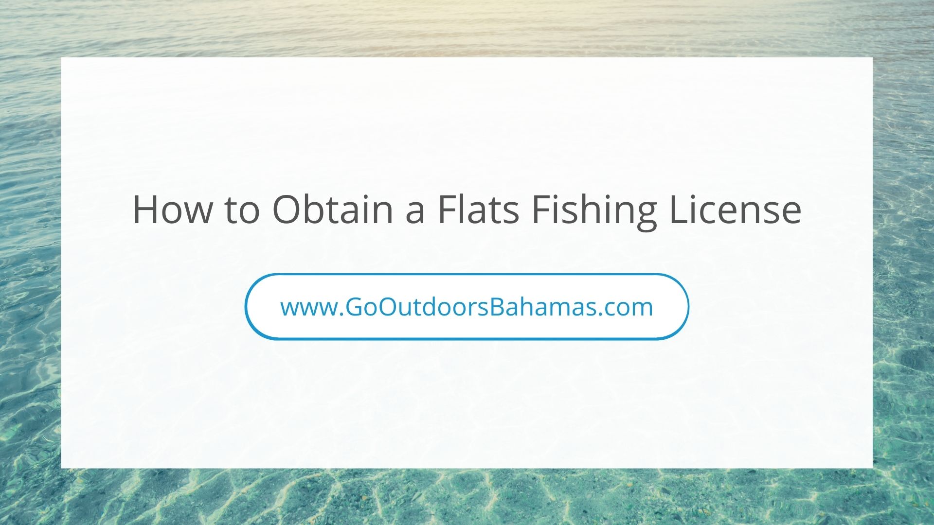 How to Obtain a Flats Fishing License